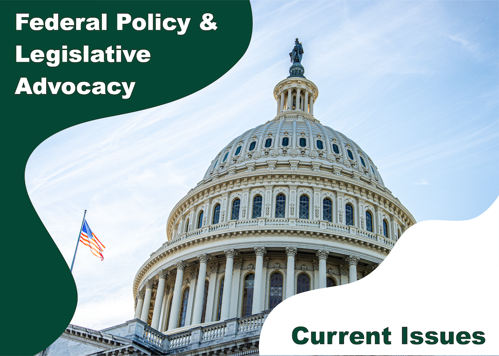 Federal Policy and Legislative Advocacy: Current Issues