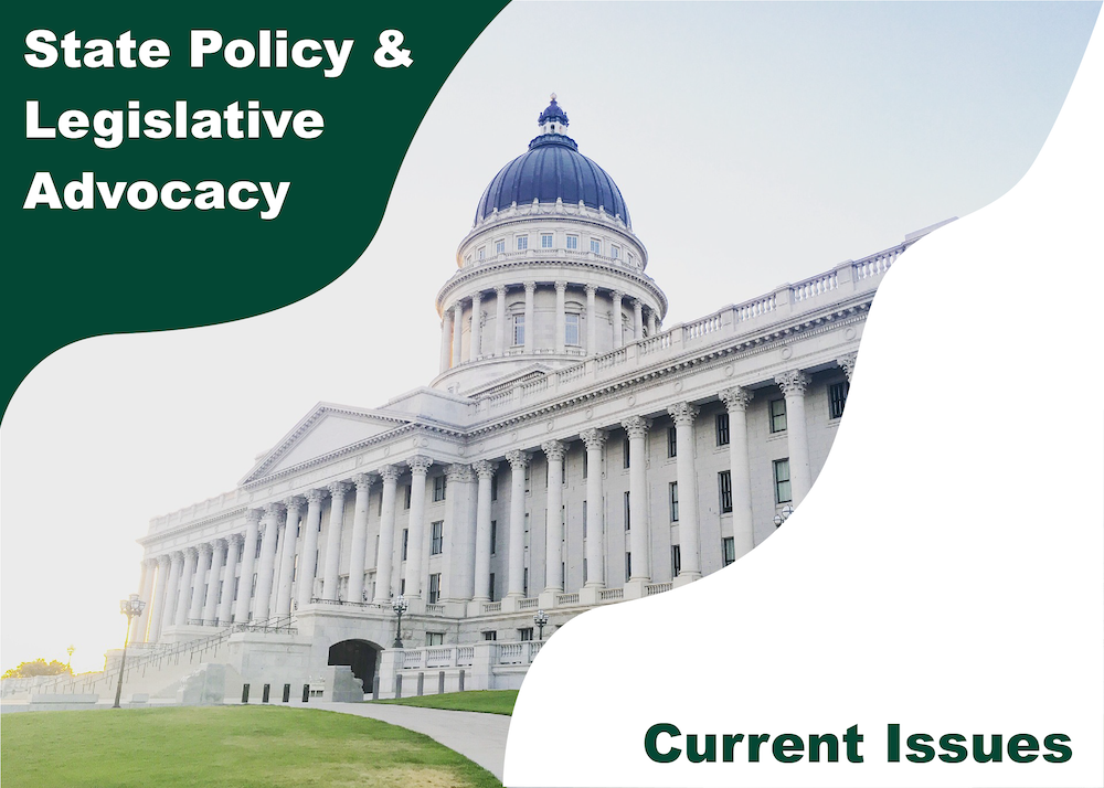 State Policy & Legislative Advocacy: Current Issues