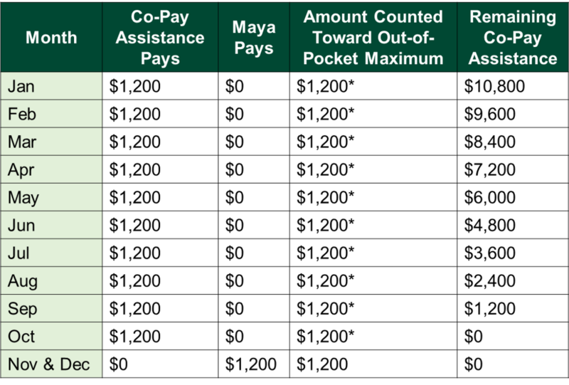 Table showing $1,200 monthly co-pay assistance counted toward the out-of-pocket maximum through October, with assistance ending and patient payments beginning in November and December.